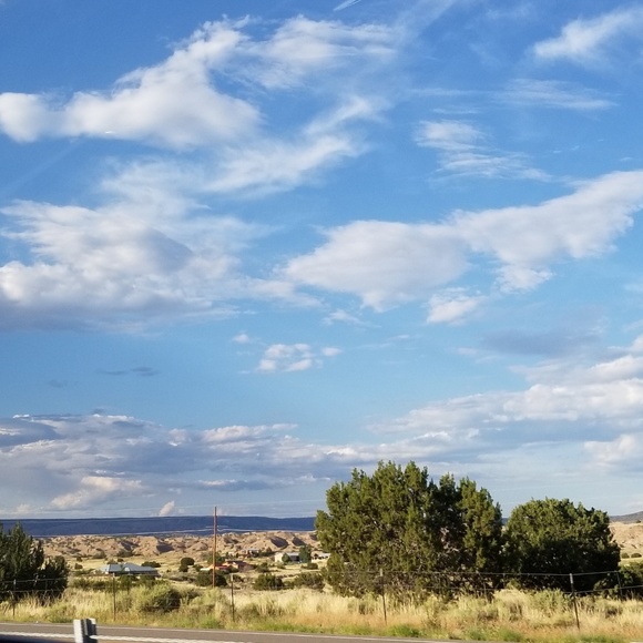 Meet your Posher, Grace - Picture 1 of 1